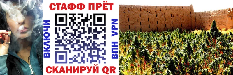 Каннабис Кызыл