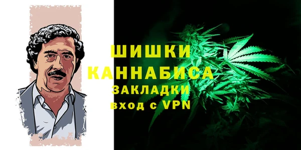 хмурый Дмитриев