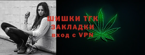 хмурый Дмитриев