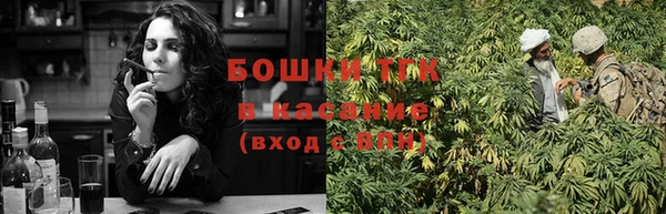 хмурый Дмитриев