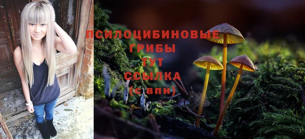 кокс Дмитров