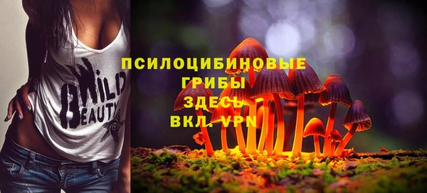 кокс Дмитров